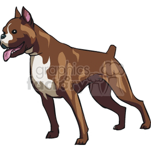 The image is a clipart illustration of a brown boxer dog.