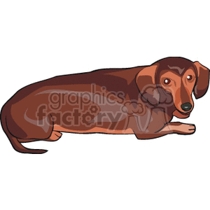 This clipart image features a dachshund, which is a small breed of dog known for its long body and short legs. The dachshund in the image appears to be brown with a darker back, typical of the breed's coat coloring. It's a cartoonish representation suitable for a range of casual or informal uses.