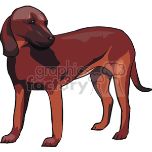 Brown Dog Illustration - Pet Animals Theme