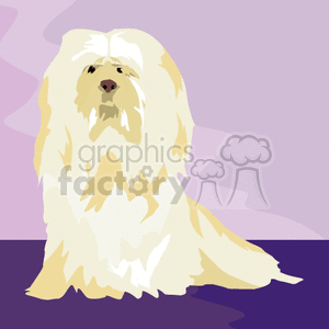 The clipart image depicts a dog with long fur, likely a representation of a specific breed such as a Shih Tzu or a Maltese. The dog is sitting against a simple two-tone background consisting of a purple wall and floor with a stylized, minimalistic aesthetic.