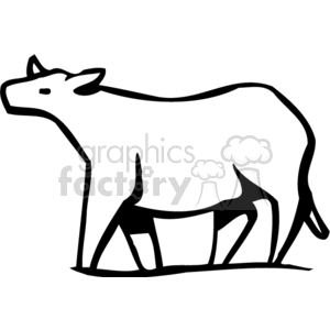 Black and White Cow - Farm Animal