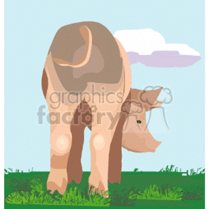 The clipart image shows a stylized illustration of a brown pig standing on a green grassy field with a blue sky and a small white cloud in the background.