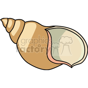The clipart image depicts a sea shell with a spiral design.