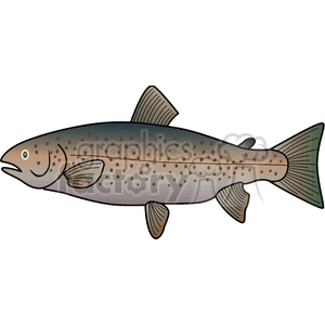 Cartoon Salmon Illustration - Lake Fish