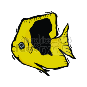 Exotic yellow fish