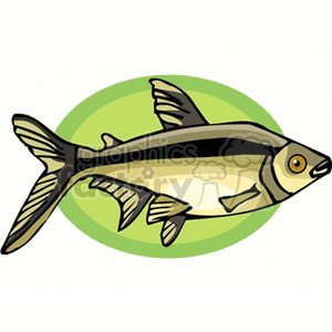 Cartoon Fish Illustration on Green Background