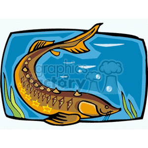Download Paddlefish Commercial Use Gif Jpg Wmf Svg Clipart 132657 Graphics Factory