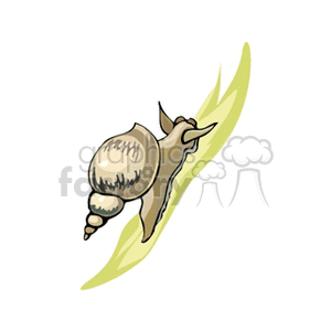 Stylized Snail on Leaf - Aquatic Theme