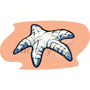 Cartoon Starfish Illustration - Tropical Marine Life Theme