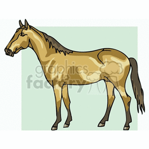 The clipart image features a horse with a brown coat, highlighted with darker shades on the mane, tail, and legs, positioned against a light green background.