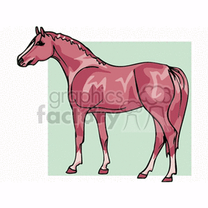The clipart image features a stylized illustration of a horse.