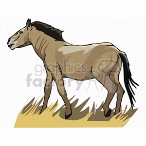 The clipart image features a horse standing on what appears to be grass.