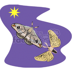 A clipart image featuring two moths flying under a star in a purple, abstract background.