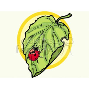 Clipart image of a green leaf with a ladybug on it, set against a yellow circular background.