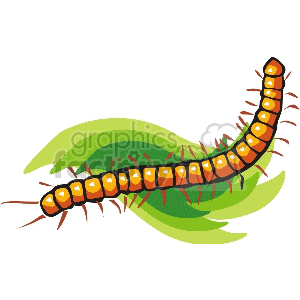 A colorful clipart image of a centipede with an orange body and black outline, crawling on green leaves.