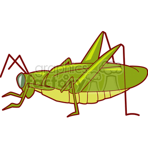 A detailed clipart image of a green grasshopper with elongated legs and antennae.