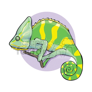 The clipart image depicts a stylized chameleon. It features the chameleon in profile, with distinctive characteristics such as its curled tail, protruding eyes, and zygodactylous feet (two toes facing forward and two backward). The chameleon has a pattern of green and yellow stripes and spots on its body.