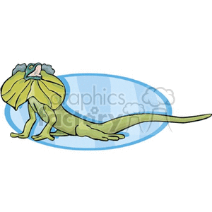 The image is a clipart of a green lizard with a large frill around its neck, which could be indicative of a frilled-neck lizard, also known as a frilled dragon. The lizard is depicted on a light blue oval background. 