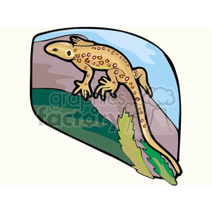 The image depicts a stylized clipart representation of a lizard on a rock or piece of ground with some vegetation. The lizard is shown with a detailed pattern of spots over its back and tail. The background suggests a simple environmental context without too much detail.