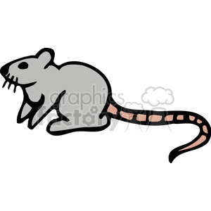 Simple clipart of a rat