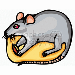 The image depicts a stylized cartoon illustration of a gray rodent, which could represent either a mouse or a rat. The rodent has large pink ears, a long tail, and is depicted in a side profile facing left with its mouth open, revealing sharp teeth. It has a prominent black eye with a red iris. The rodent is posed as if it is crouched on a yellow surface with its body partially curled.