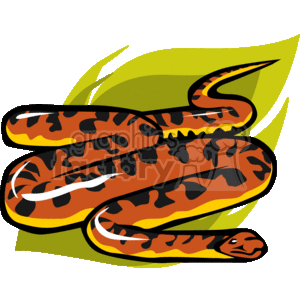 Orange snake