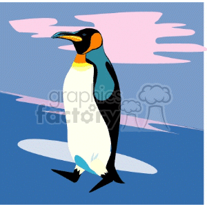 Walking King penguin