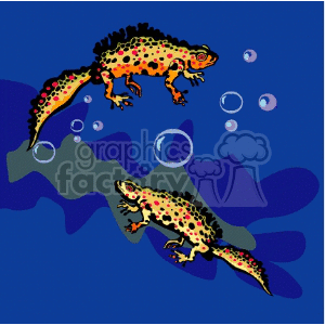 Clipart image of two colorful salamanders swimming underwater with bubbles.