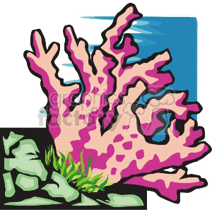 Clipart image of pink coral with green seaweed and rocks underwater.