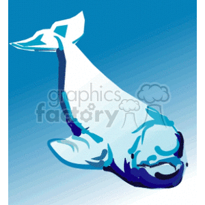 white and blue Porpoise