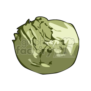 Clipart image of a green cabbage with detailed shading and outlines.