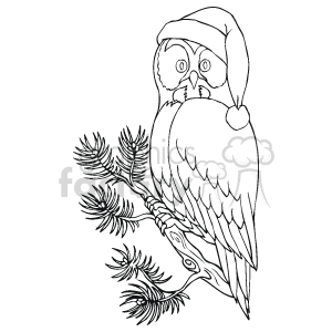 The clipart image depicts an owl perched on a branch. The owl is wearing a Santa hat, indicating a Christmas or holiday theme.