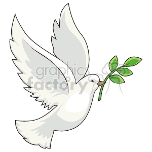 A white dove with a green branch