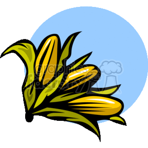 This clipart image depicts an ear of corn against a blue circular background. The corn is stylized with a prominent use of yellow and green colors, which are often associated with nature and growth.