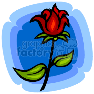 Valentine's Day - Cartoon Red Rose