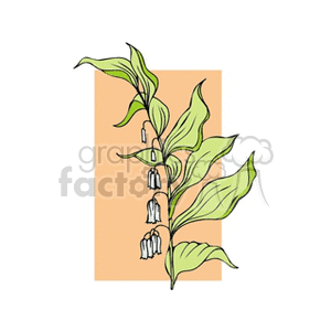 A botanical clipart image featuring a delicate plant with several white bell-shaped flowers and vibrant green leaves, set against a peach-colored background.