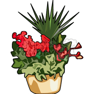 Colorful Potted Plant with Red Flowers