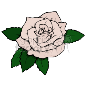 The clipart image displays a stylized illustration of a single rose with a few leaves.