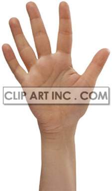 A clipart image of an open human hand with fingers spread wide apart.