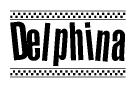 The image is a black and white clipart of the text Delphina in a bold, italicized font. The text is bordered by a dotted line on the top and bottom, and there are checkered flags positioned at both ends of the text, usually associated with racing or finishing lines.