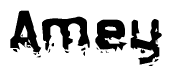 This nametag says Amey, and has a static looking effect at the bottom of the words. The words are in a stylized font.