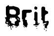 The image contains the word Brit in a stylized font with a static looking effect at the bottom of the words