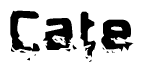 The image contains the word Cate in a stylized font with a static looking effect at the bottom of the words