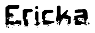 The image contains the word Ericka in a stylized font with a static looking effect at the bottom of the words