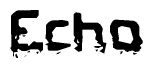 The image contains the word Echo in a stylized font with a static looking effect at the bottom of the words