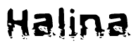 The image contains the word Halina in a stylized font with a static looking effect at the bottom of the words
