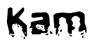 The image contains the word Kam in a stylized font with a static looking effect at the bottom of the words