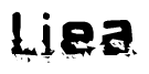 The image contains the word Liea in a stylized font with a static looking effect at the bottom of the words