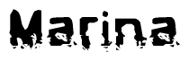 The image contains the word Marina in a stylized font with a static looking effect at the bottom of the words