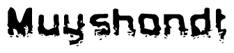 The image contains the word Muyshondt in a stylized font with a static looking effect at the bottom of the words